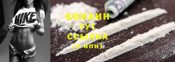 амф Аркадак