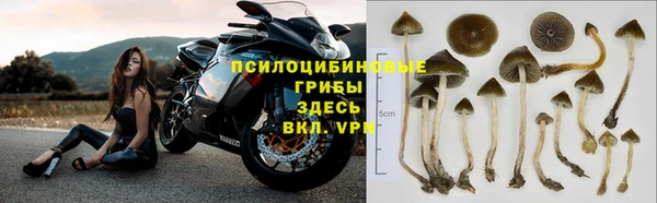 прущая мука Армянск