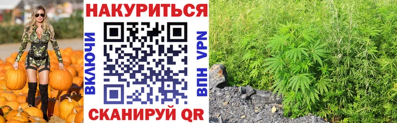 Бошки Шишки марихуана  Купить закладки  Стародуб 